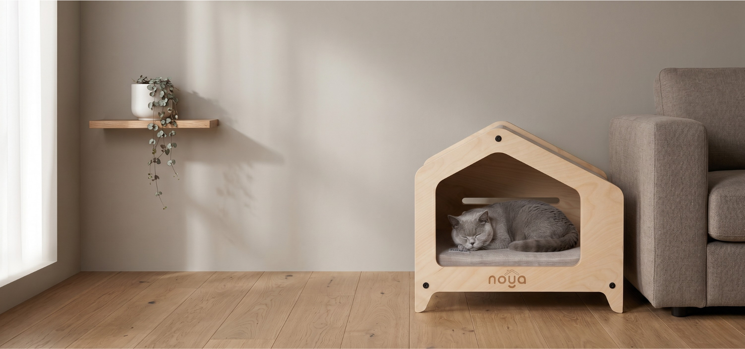 Noya House