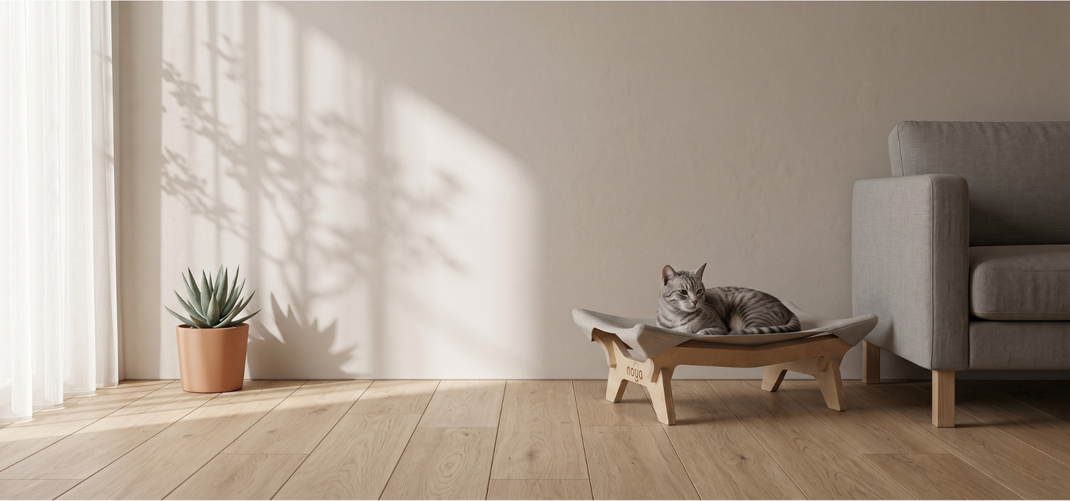 Noya House